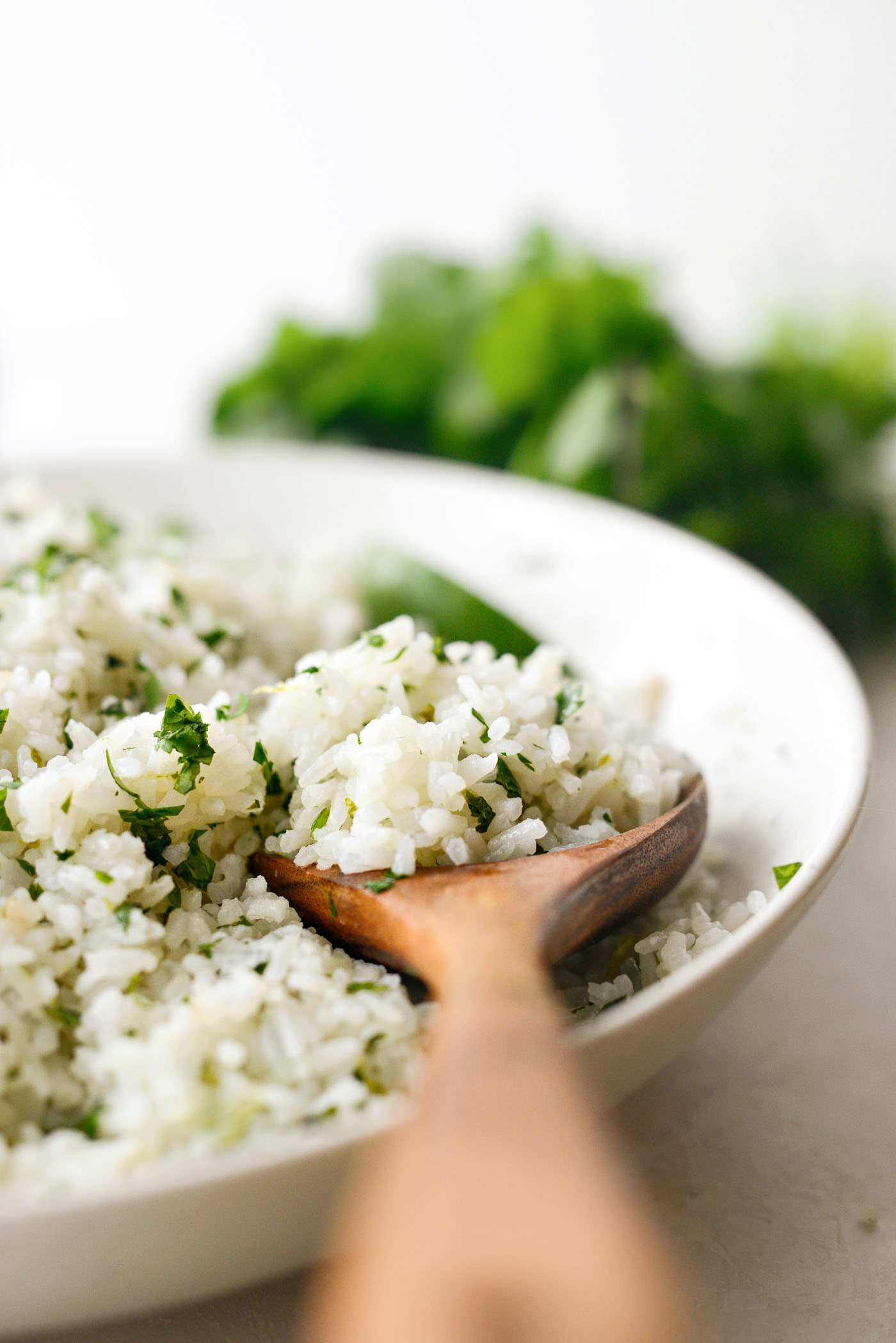 Recipe image. ID 2363