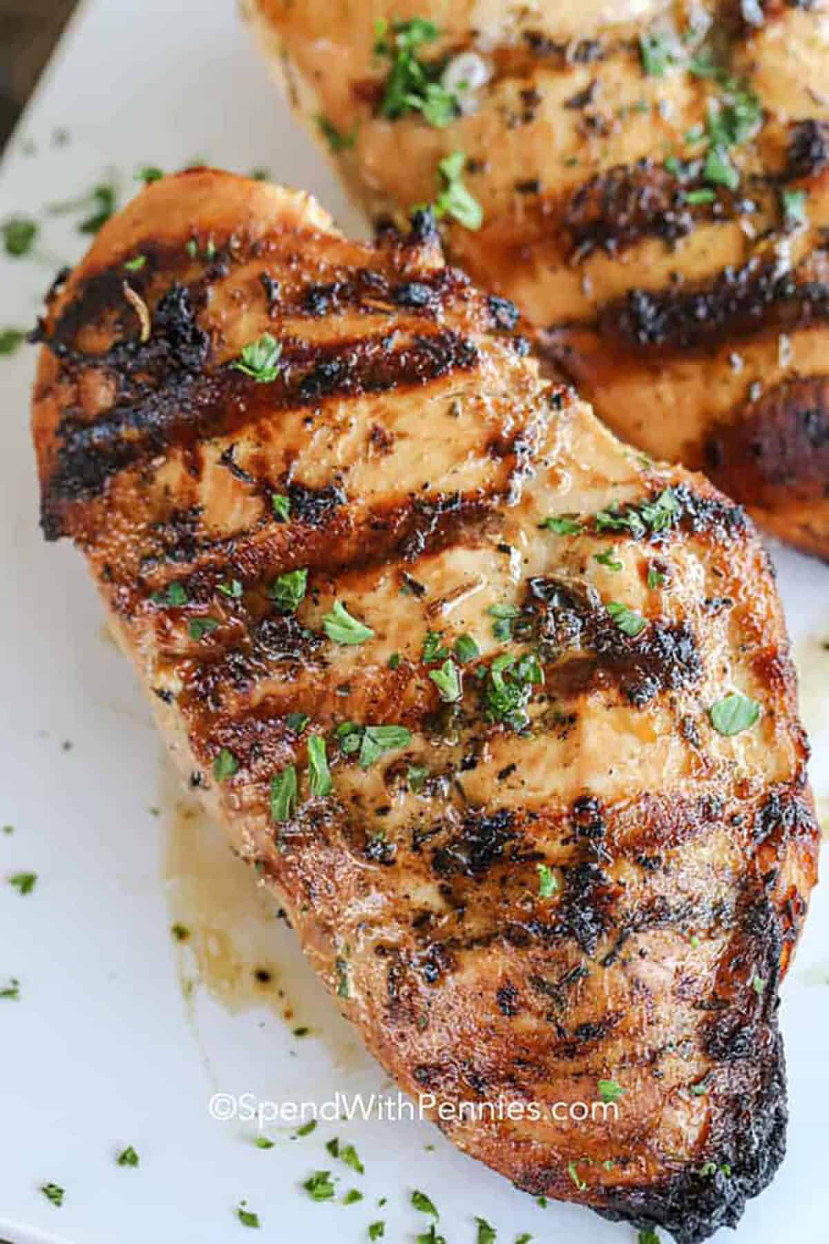 Recipe image. ID 2497
